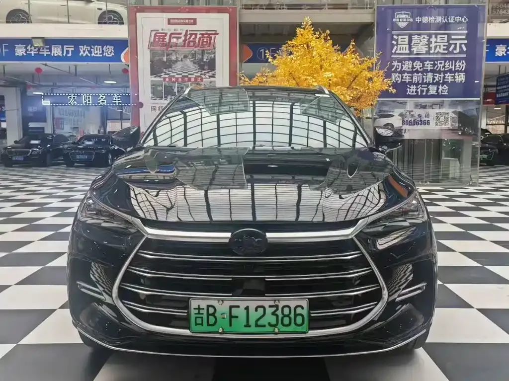 BYD Tang New Energy 2024 из CN, фото 8