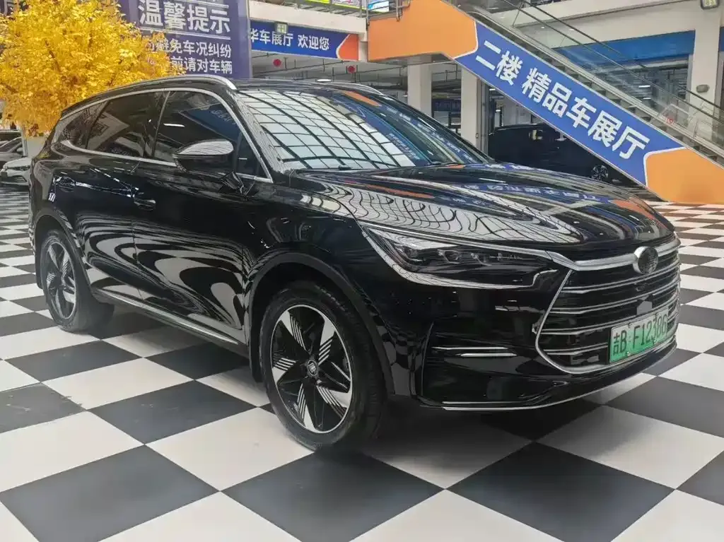 BYD Tang New Energy 2024 из CN, фото 6