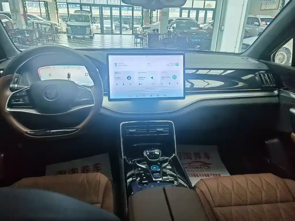 BYD Tang New Energy 2024 из CN, фото 3