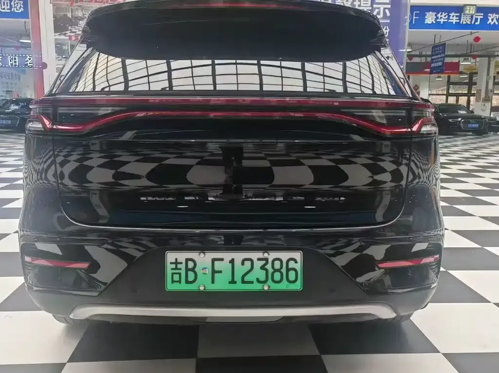 BYD Tang New Energy 2024 из CN, фото 9