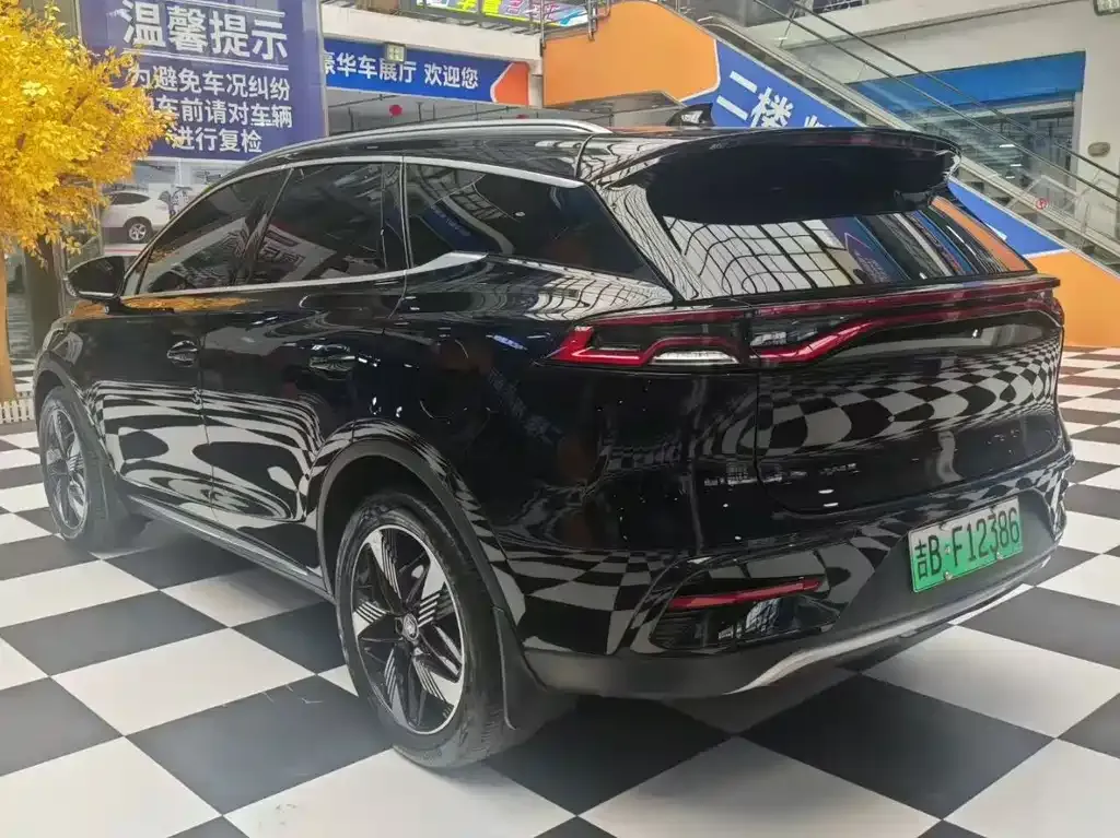 BYD Tang New Energy 2024 из CN, фото 5