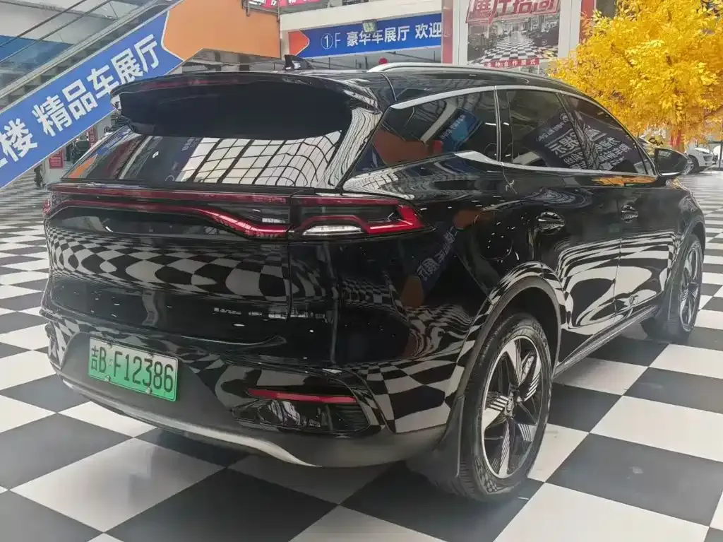 BYD Tang New Energy 2024 из CN, фото 4