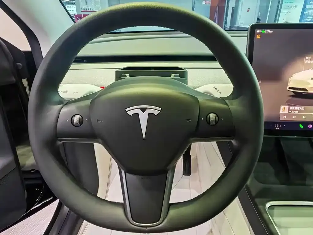 Tesla Model Y — фото 5