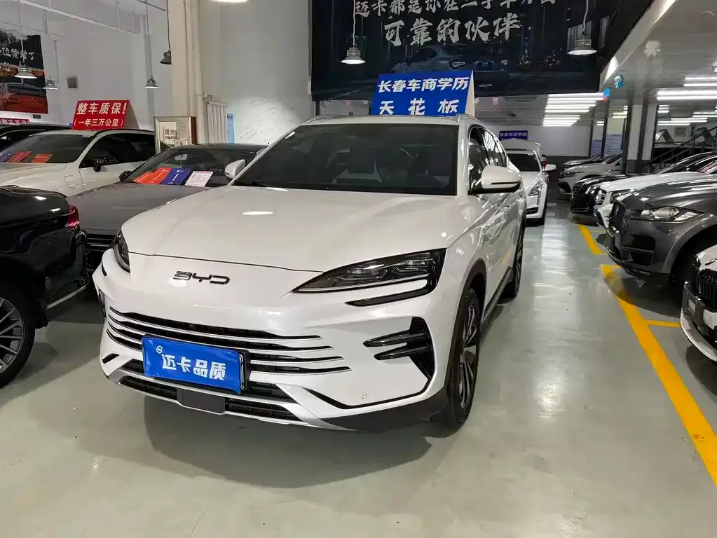 BYD PLUS New Energy — фото 1
