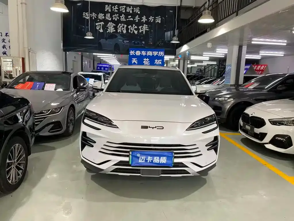 BYD PLUS New Energy — фото 4