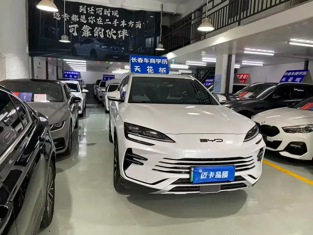 BYD PLUS New Energy — фото 8