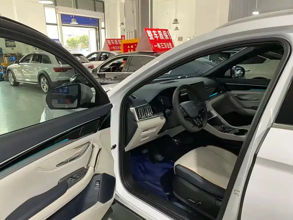 BYD PLUS New Energy — фото 3