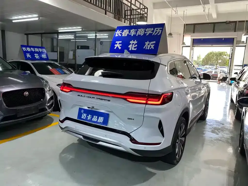 BYD PLUS New Energy — фото 2