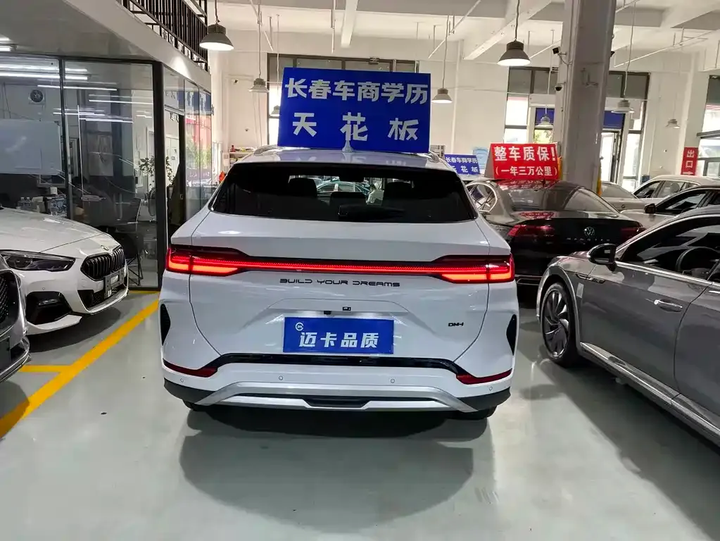 BYD PLUS New Energy — фото 5