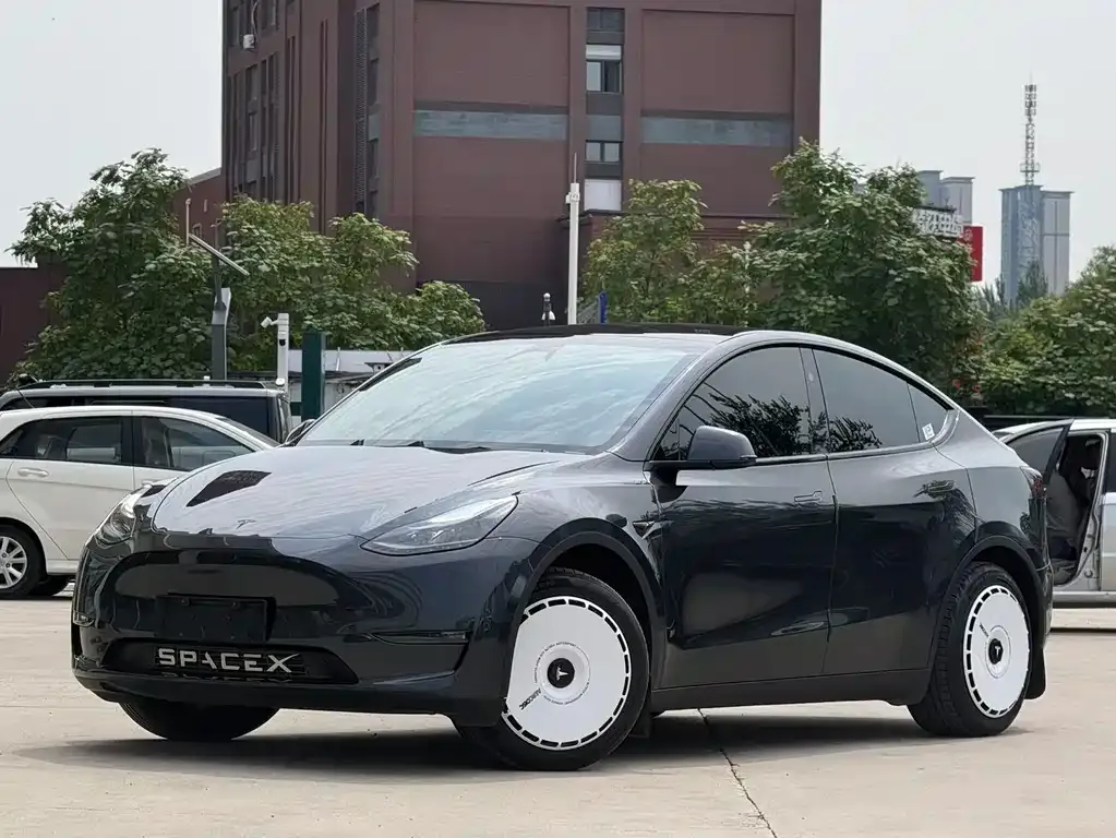 Tesla Model Y — фото 1