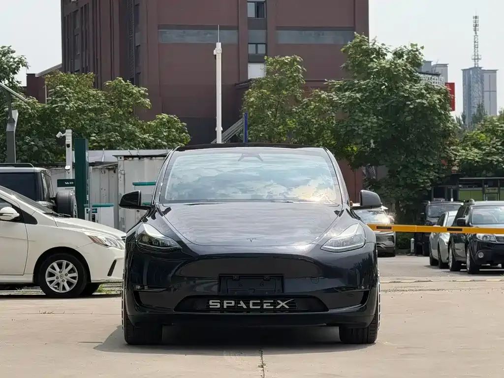 Tesla Model Y — фото 3