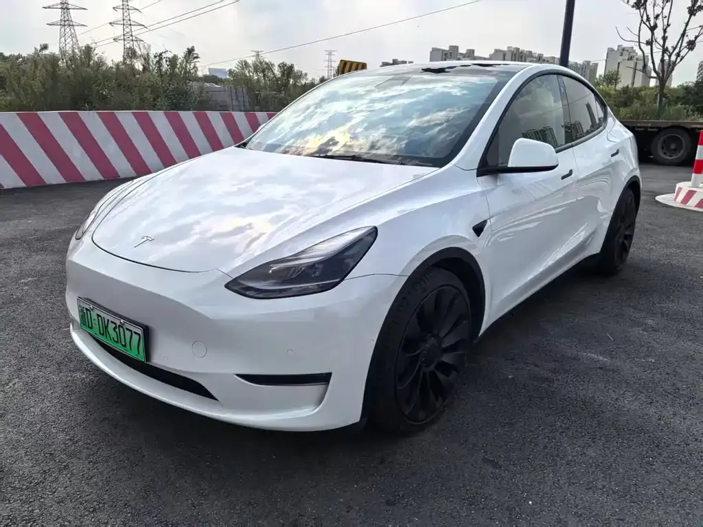 Tesla Model Y — фото 1