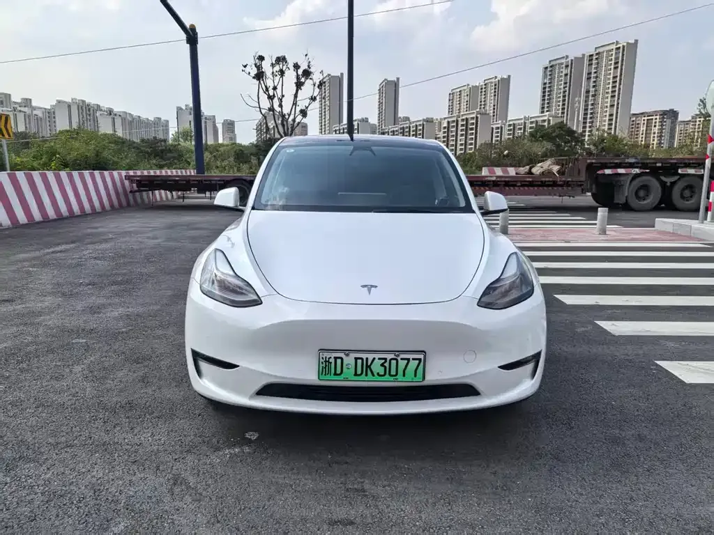 Tesla Model Y — фото 4