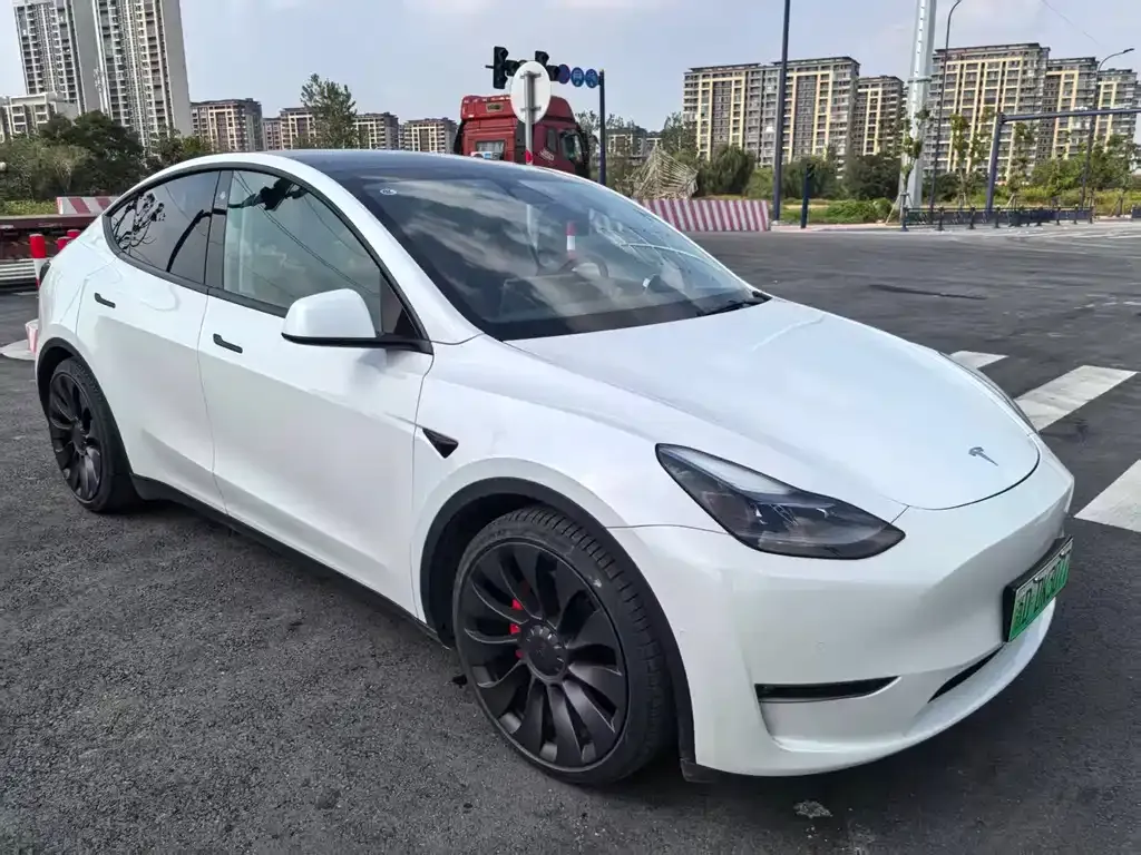 Tesla Model Y — фото 9