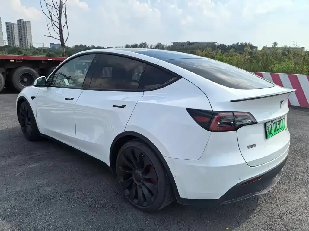 Tesla Model Y — фото 5