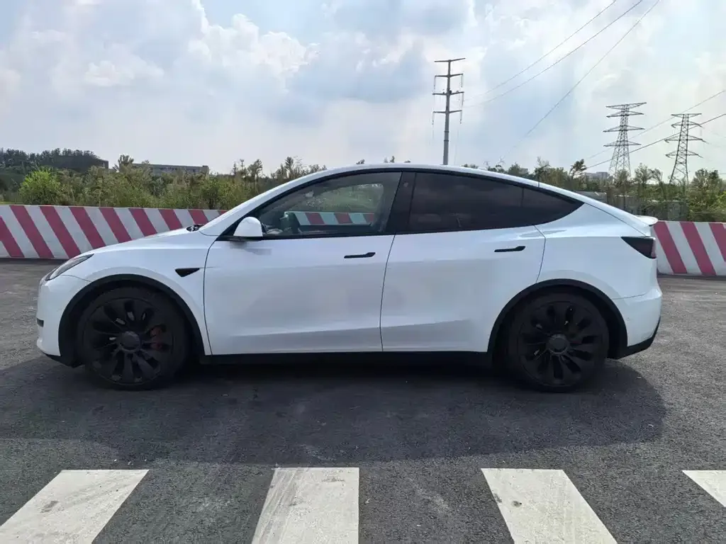 Tesla Model Y — фото 10