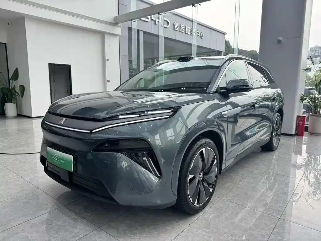 BYD Tang L — фото 1