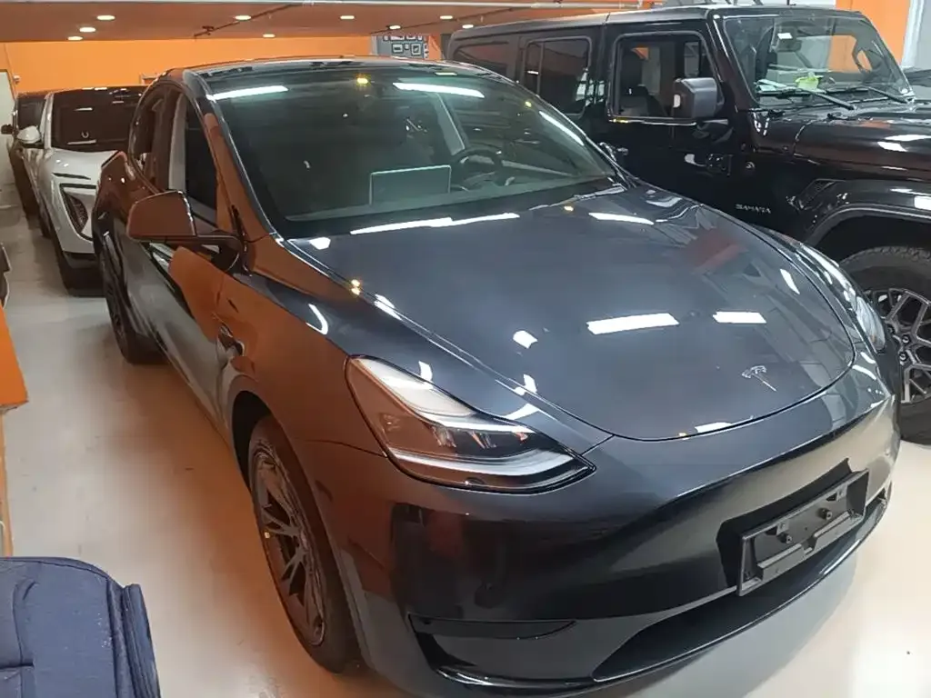 Tesla Model Y — фото 3