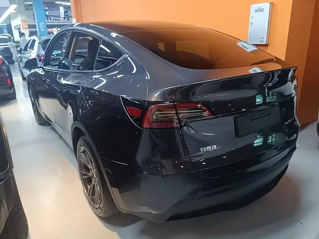 Tesla Model Y — фото 2