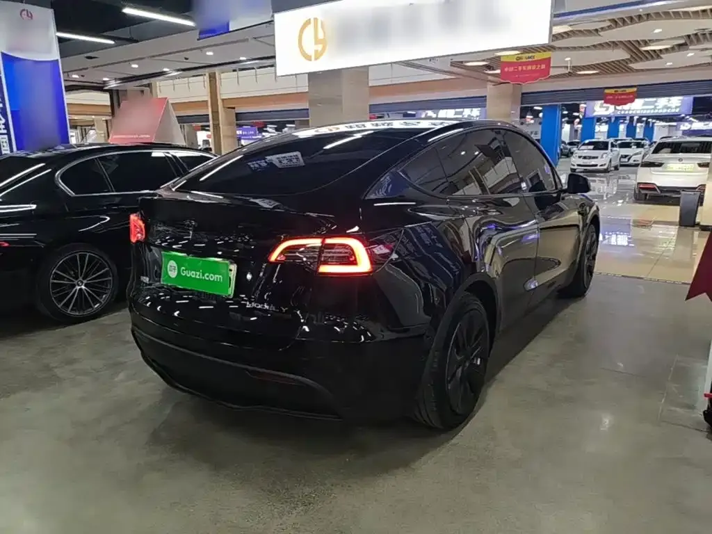 Tesla Model Y — фото 8