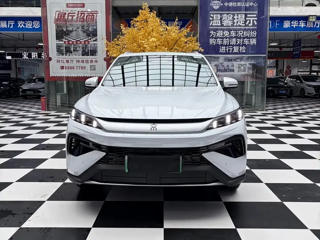 BYD Pro New Energy — фото 4