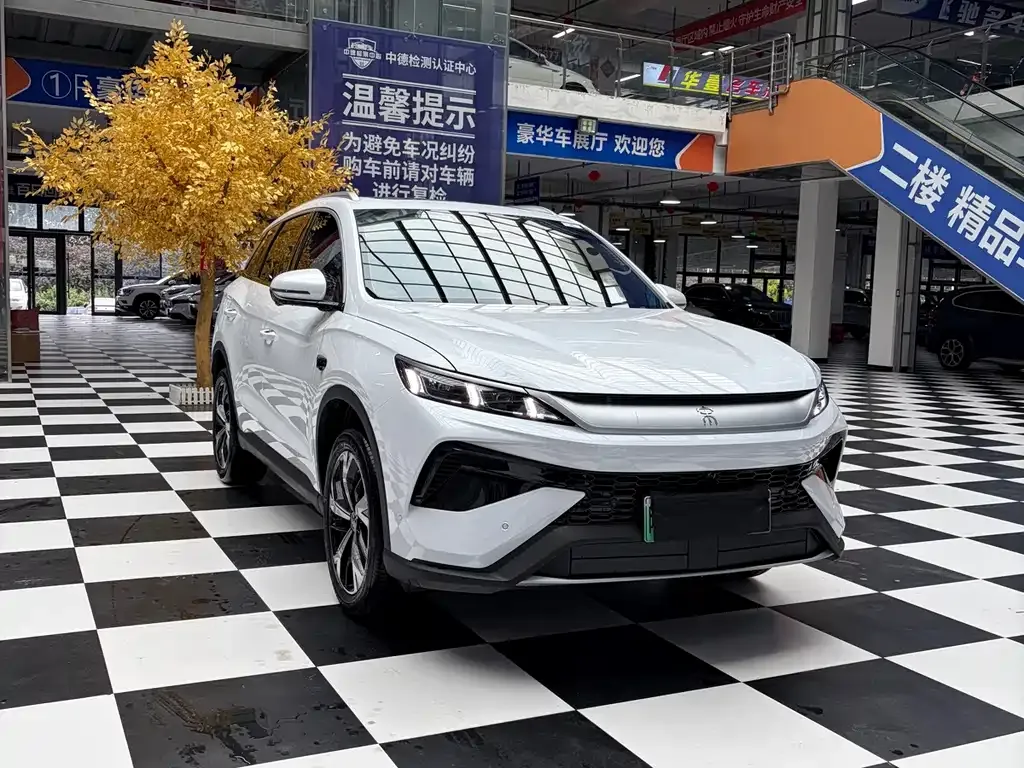 BYD Pro New Energy — фото 9
