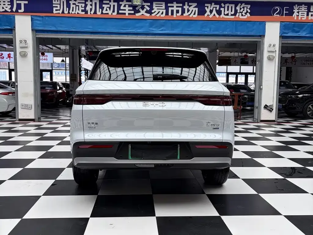 BYD Pro New Energy — фото 3