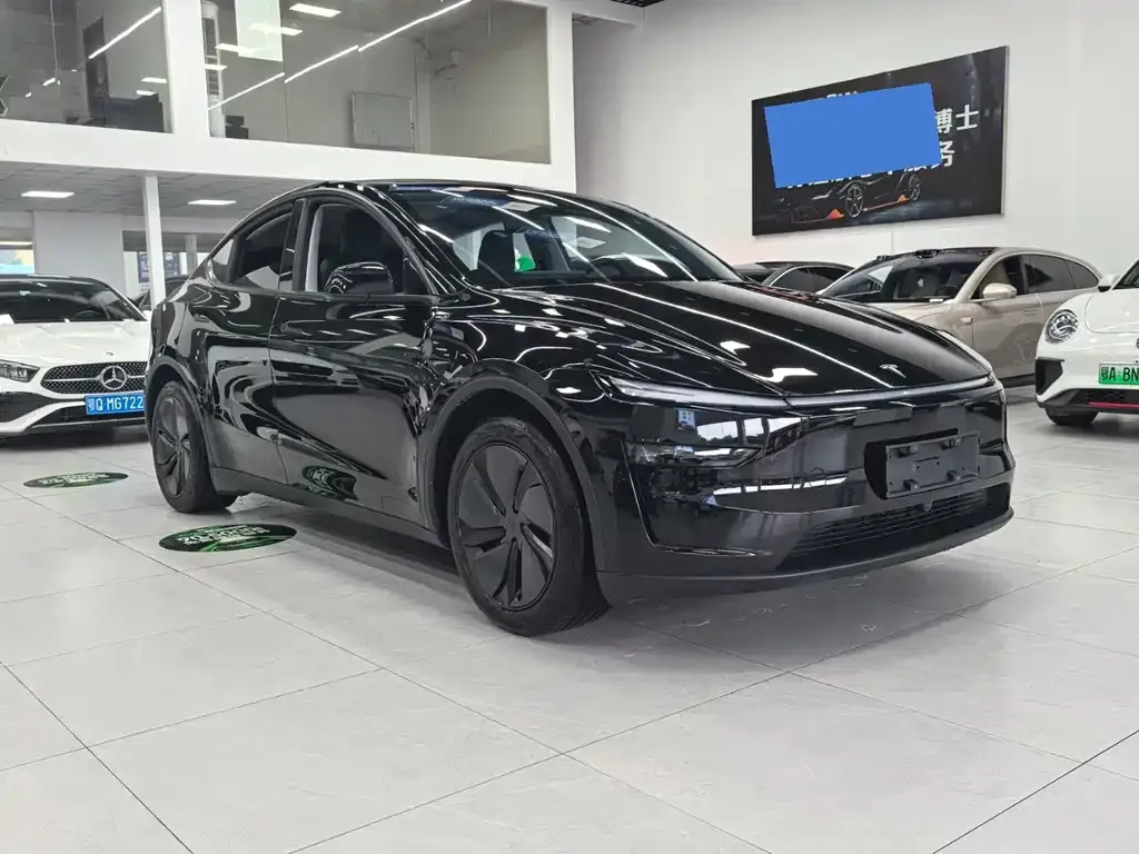 Tesla Model Y — фото 9