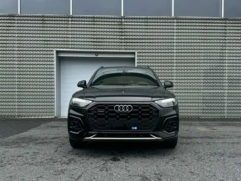 Audi Q5L 2023 из CN, фото 2