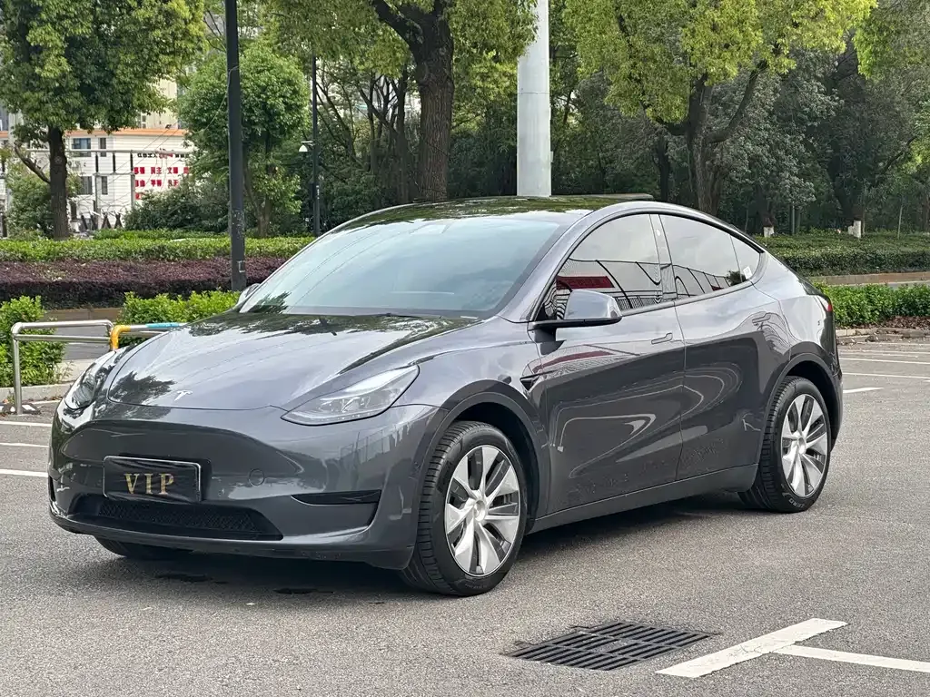 Tesla Model Y — фото 1
