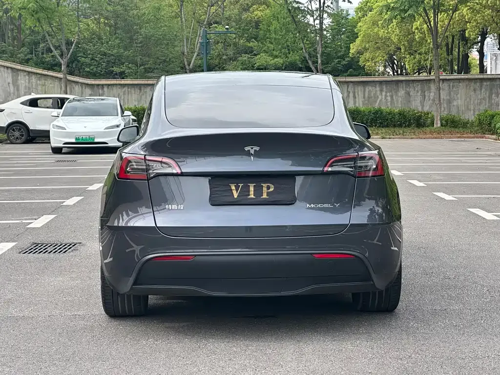 Tesla Model Y — фото 9