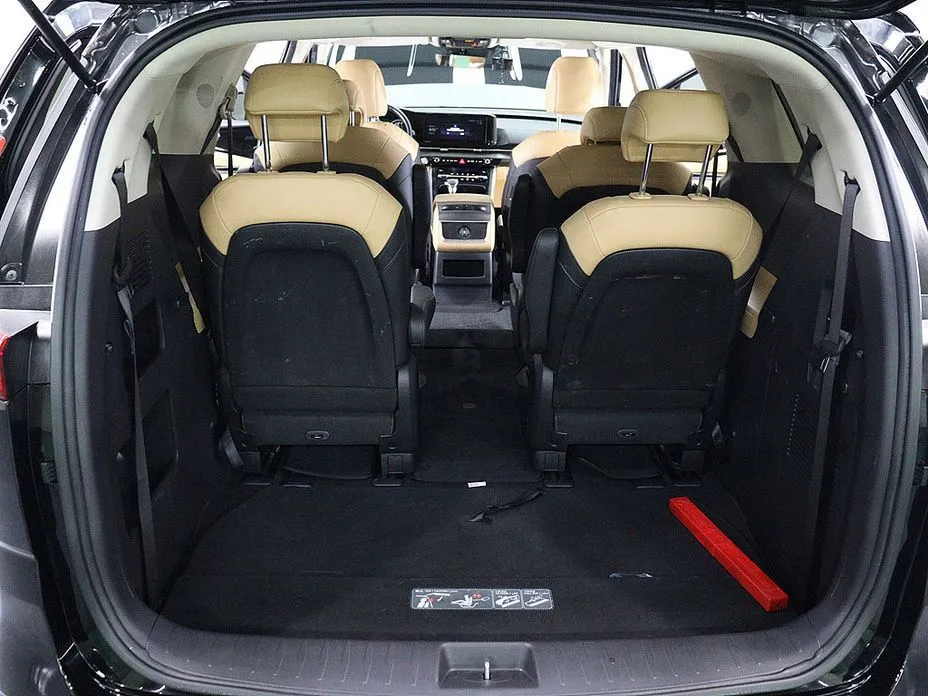 Kia Carnival — фото 10
