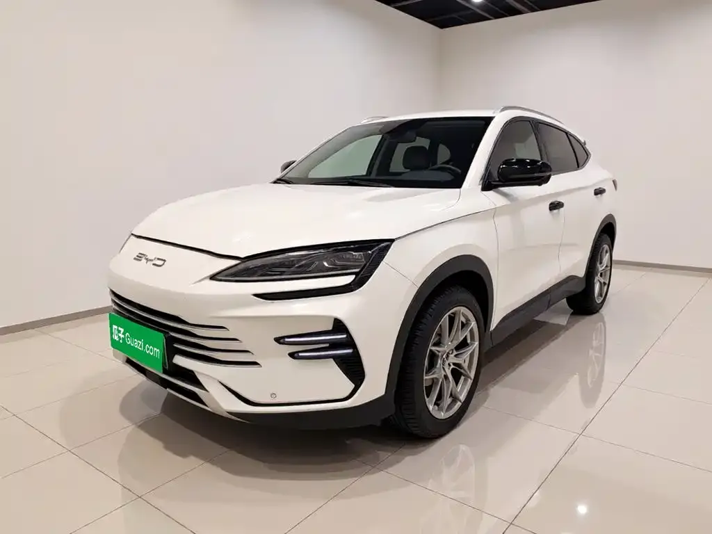 BYD PLUS New Energy — фото 1