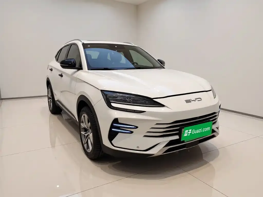 BYD PLUS New Energy — фото 2