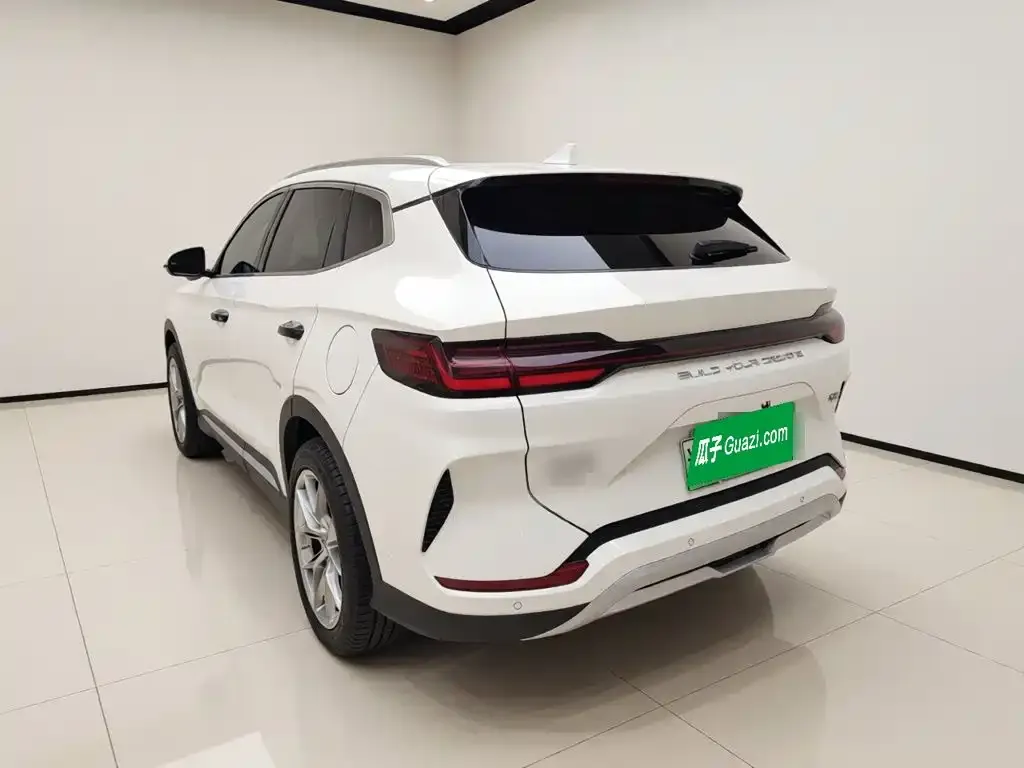 BYD PLUS New Energy — фото 3