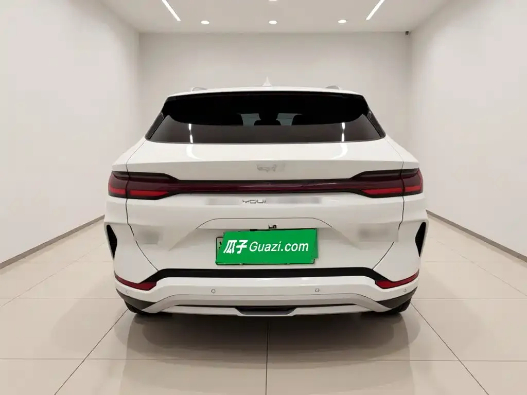 BYD PLUS New Energy — фото 7