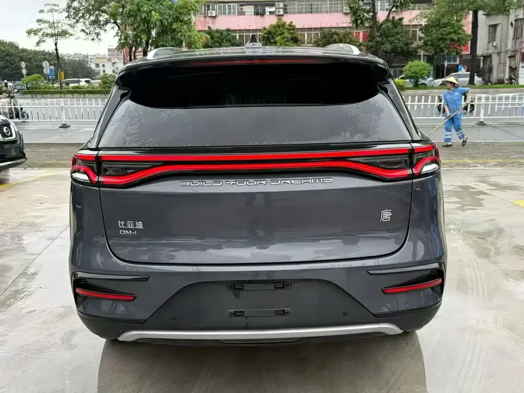 BYD Tang New Energy 2024 из CN, фото 3