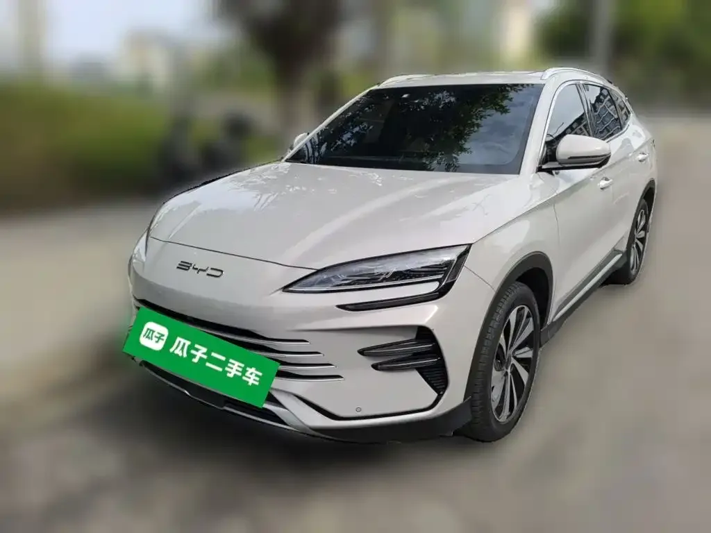 BYD PLUS New Energy — фото 8