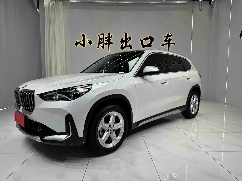 BMW X1 — фото 1