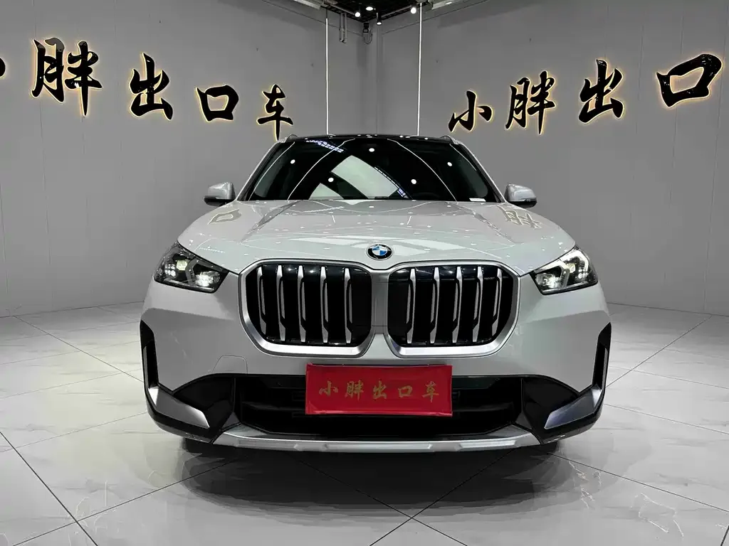 BMW X1 — фото 6