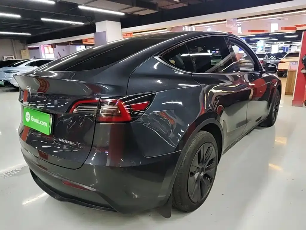 Tesla Model Y — фото 9