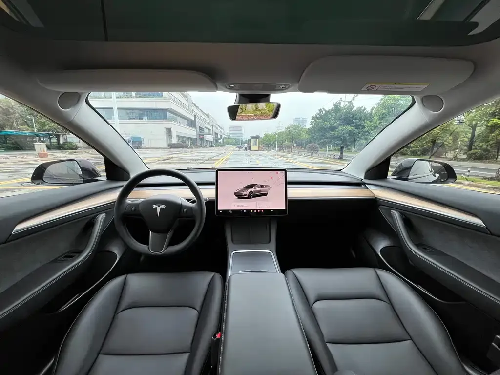 Tesla Model 3 — фото 2