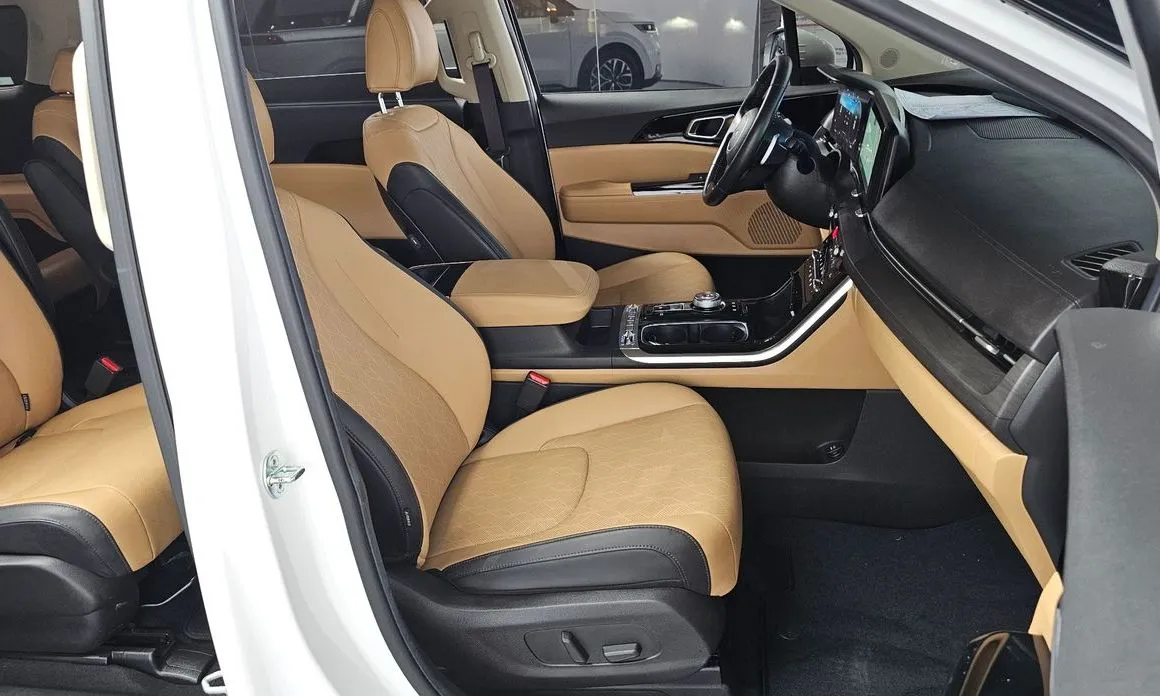 Kia Carnival — фото 10