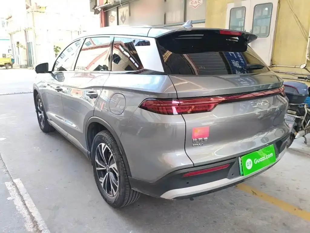 BYD Pro New Energy — фото 9