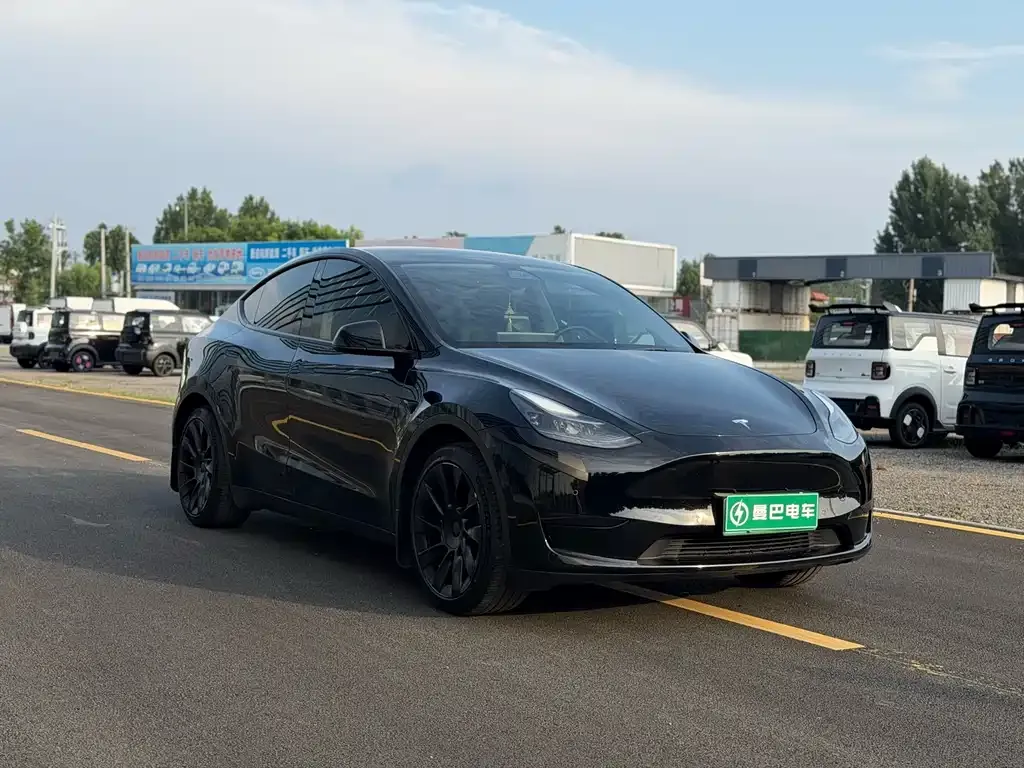 Tesla Model Y — фото 6