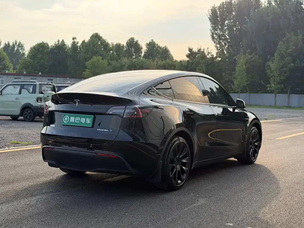 Tesla Model Y — фото 7
