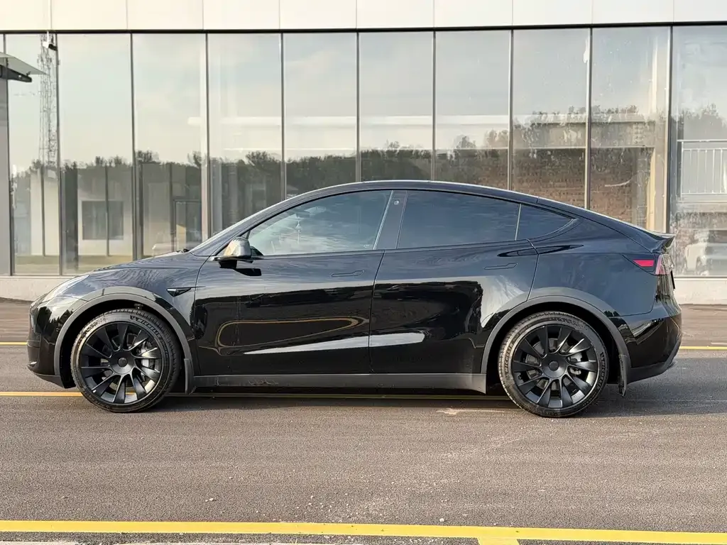 Tesla Model Y — фото 10
