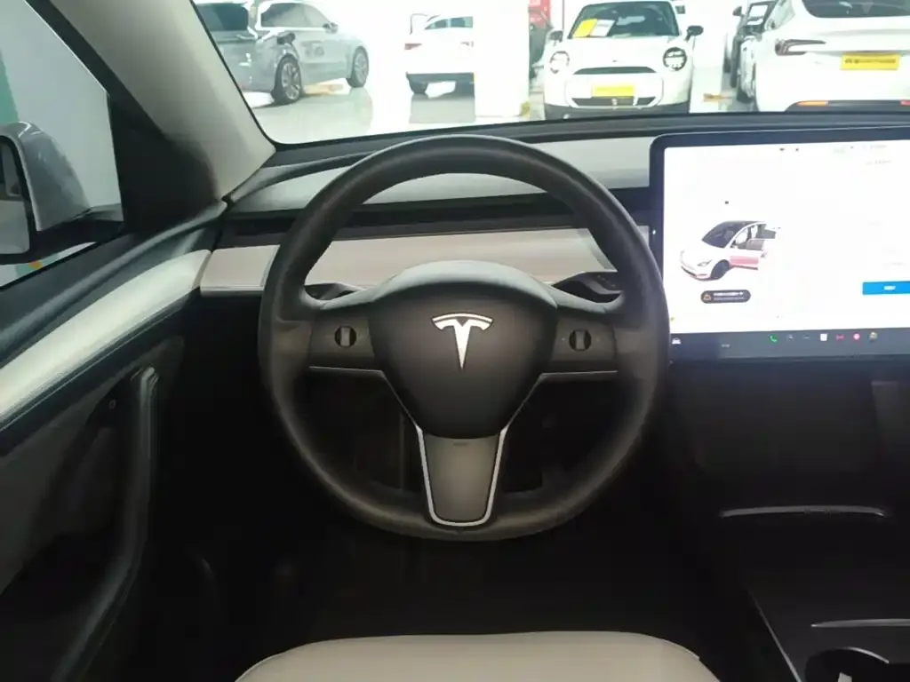 Tesla Model Y — фото 9