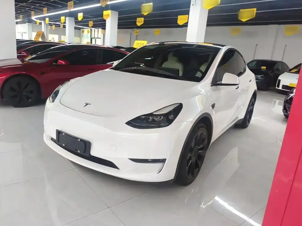 Tesla Model Y — фото 8