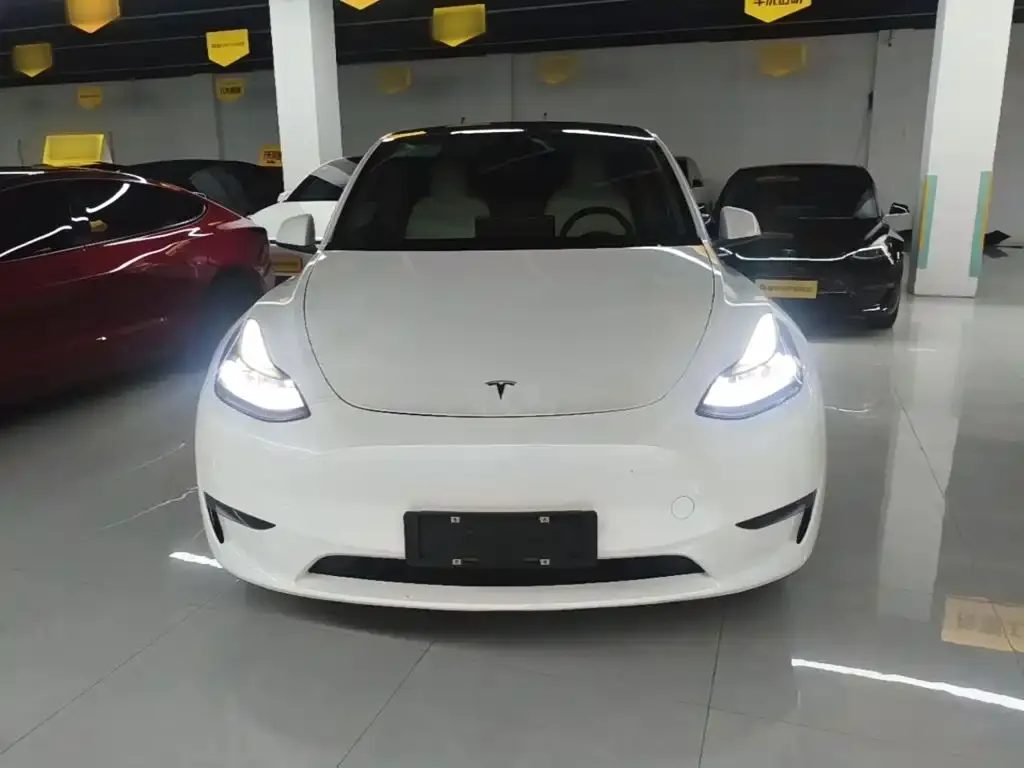 Tesla Model Y — фото 3